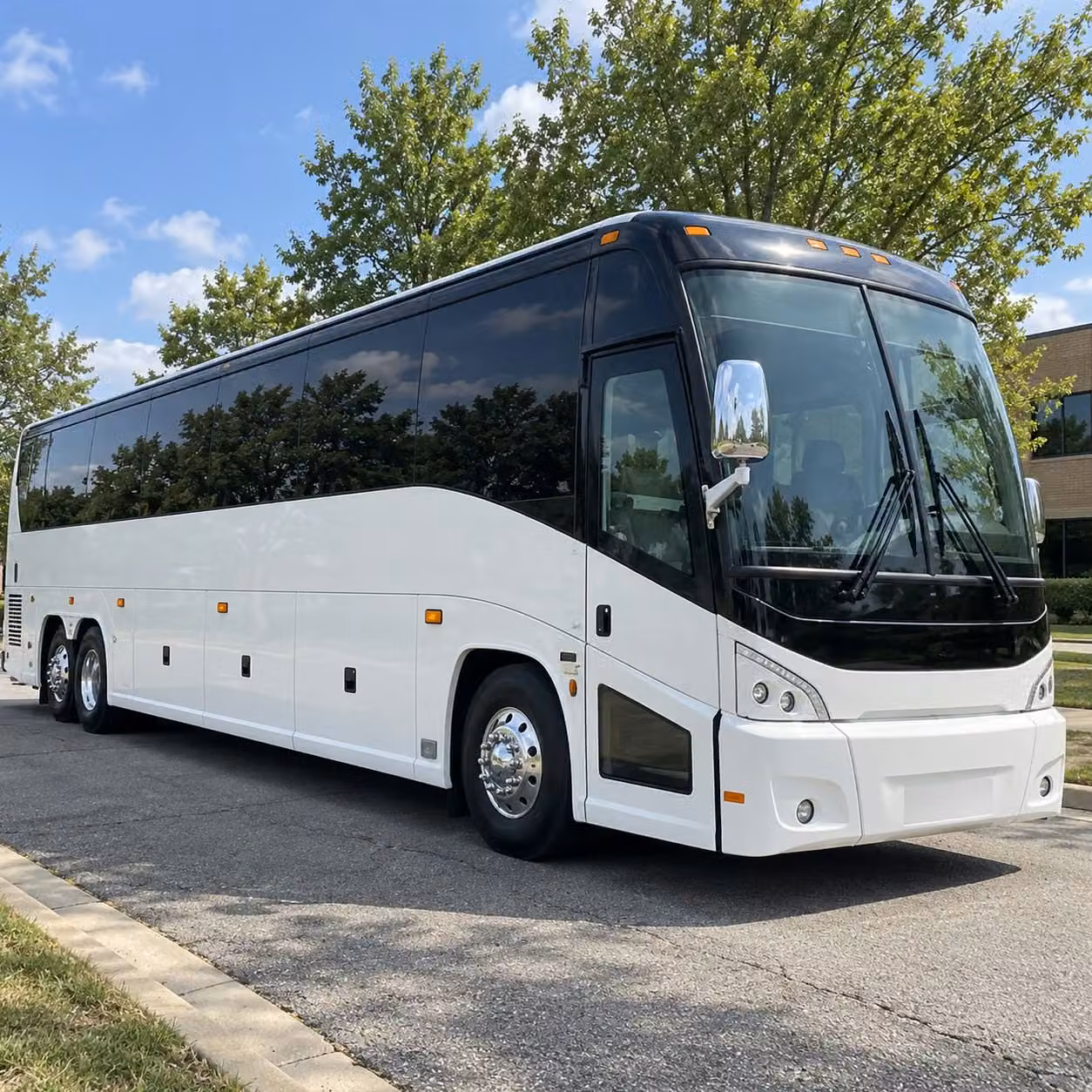 56 passenger charter bus